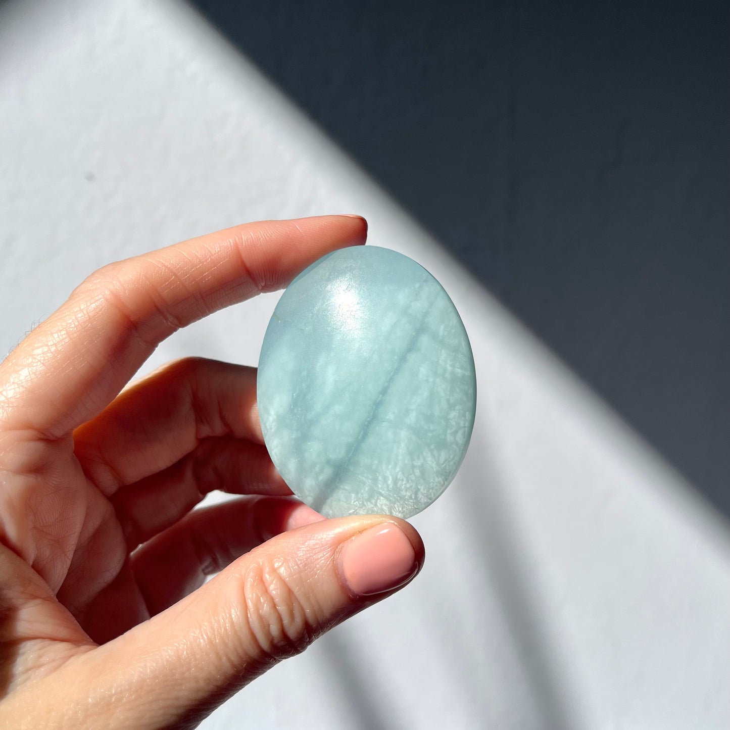 Aquamarine Palm Stone #5 / 52g