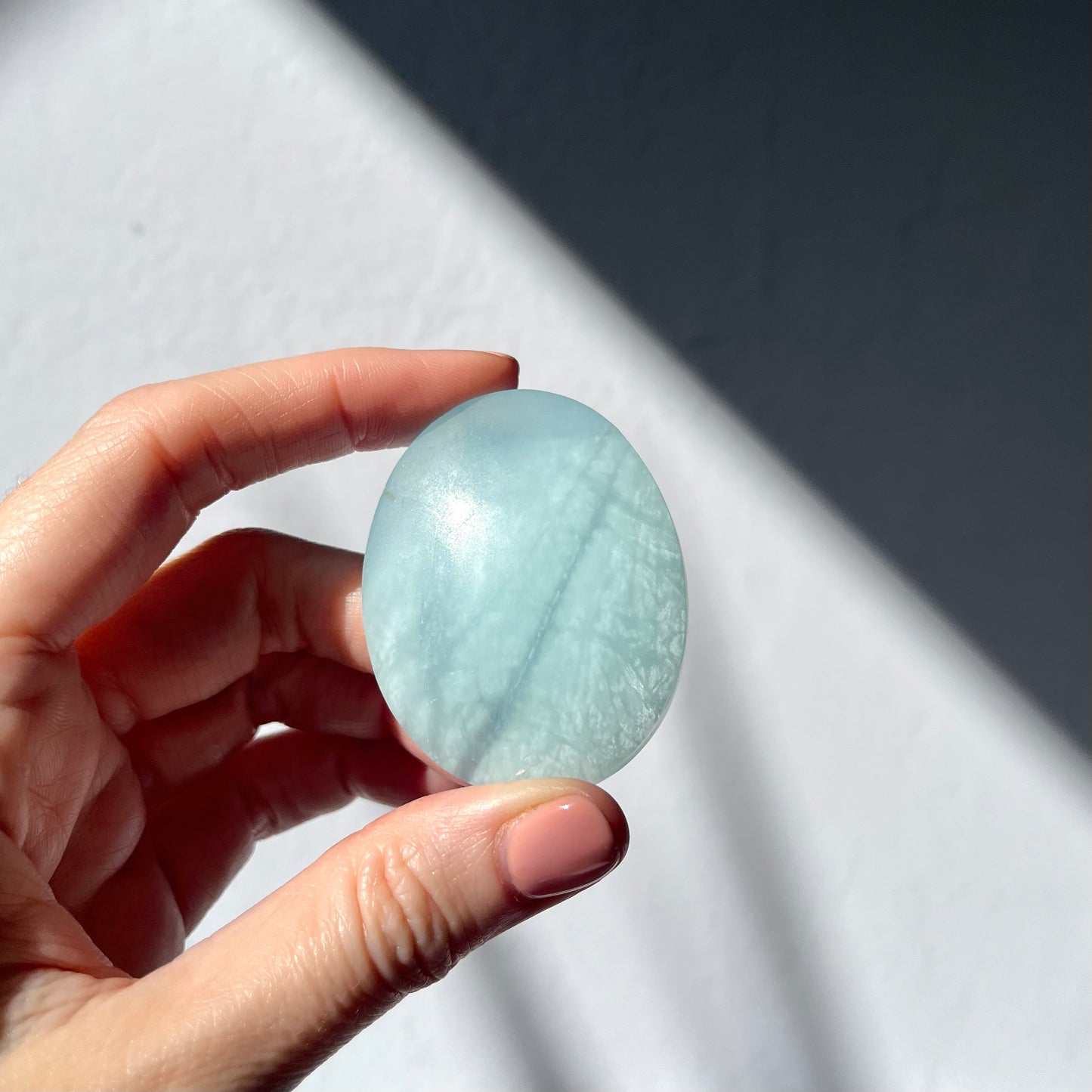 Aquamarine Palm Stone #5 / 52g