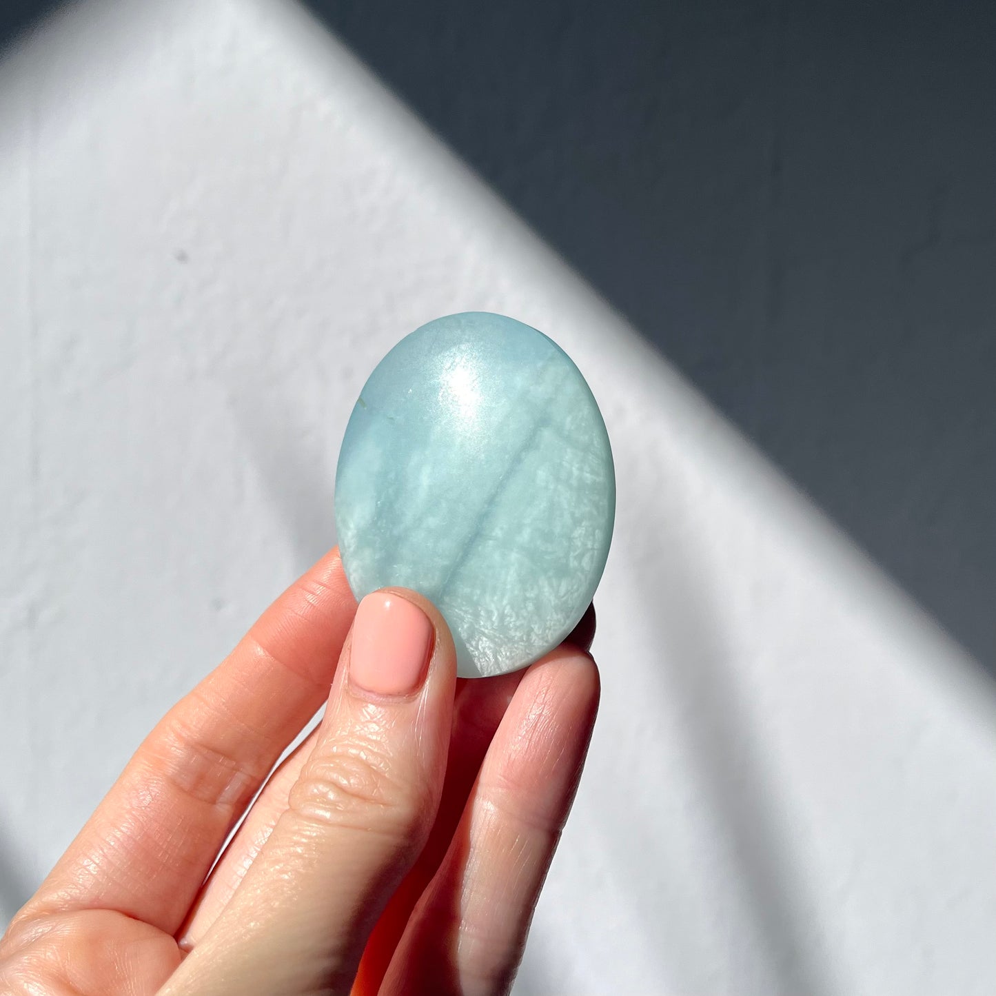 Aquamarine Palm Stone #5 / 52g