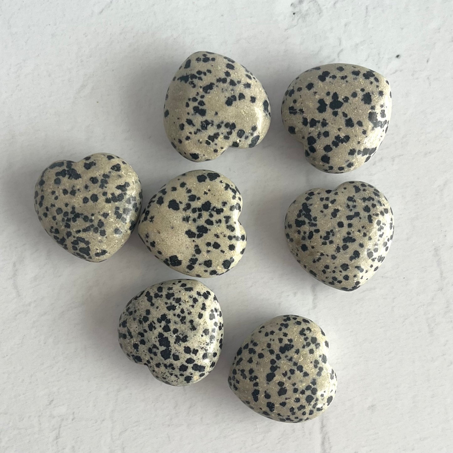 Pocket Hug - Dalmatian Jasper