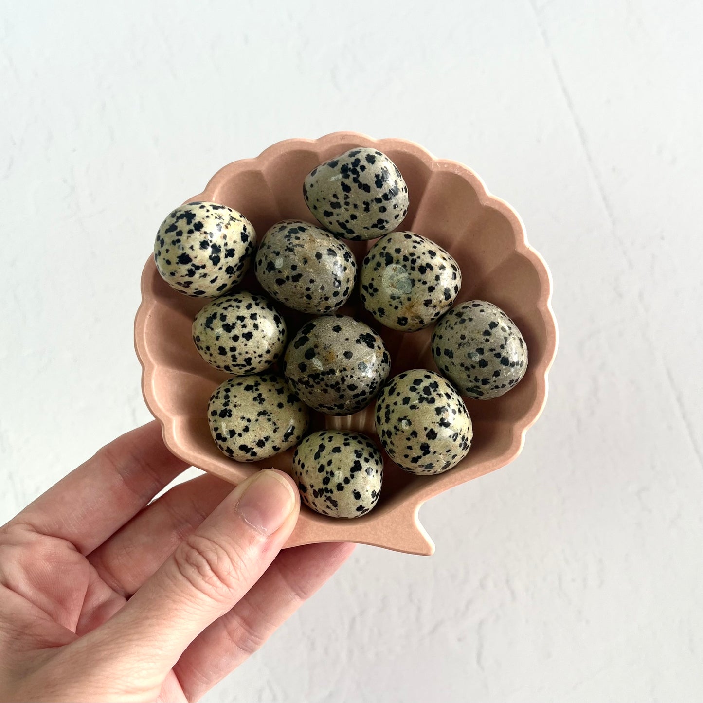 Dalmatian Jasper Tumbles