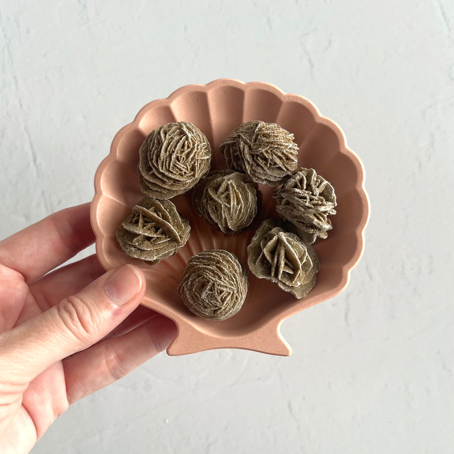 Desert Rose Selenite