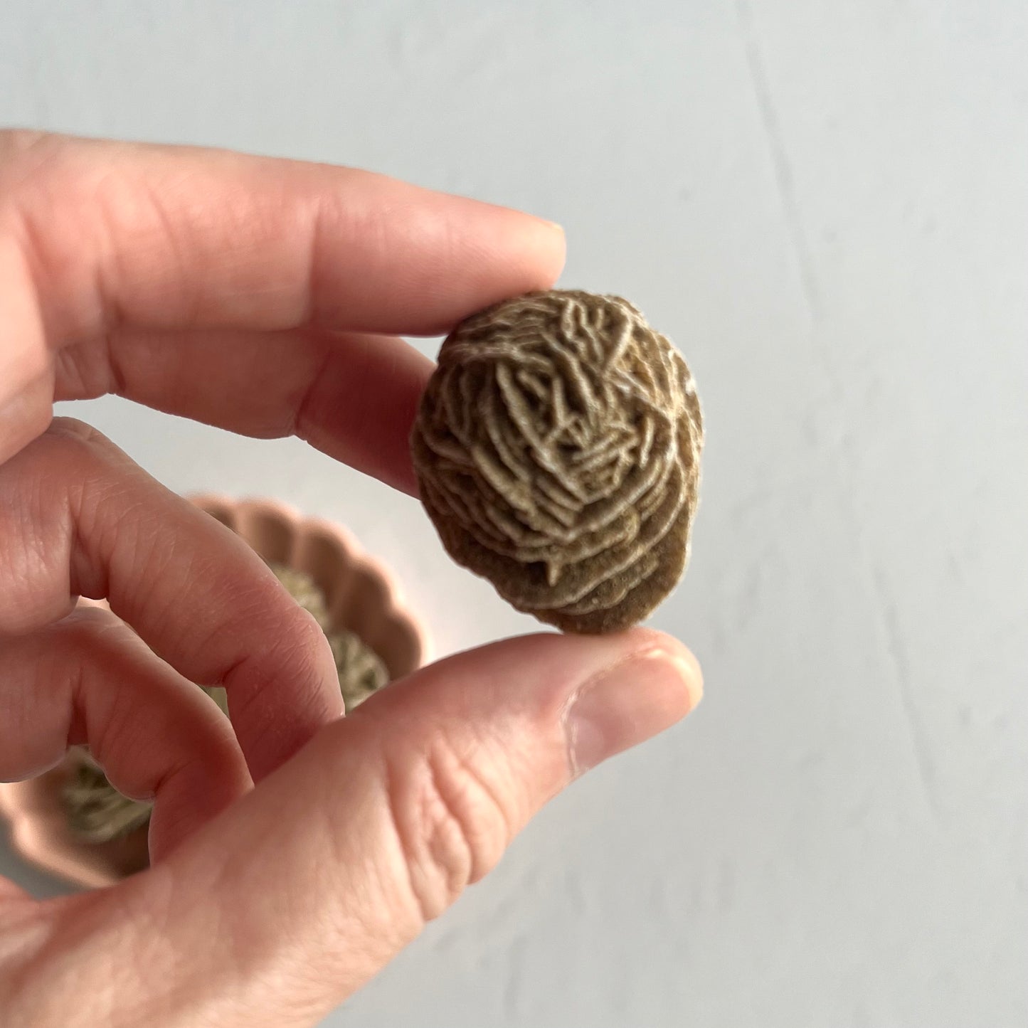 Desert Rose Selenite