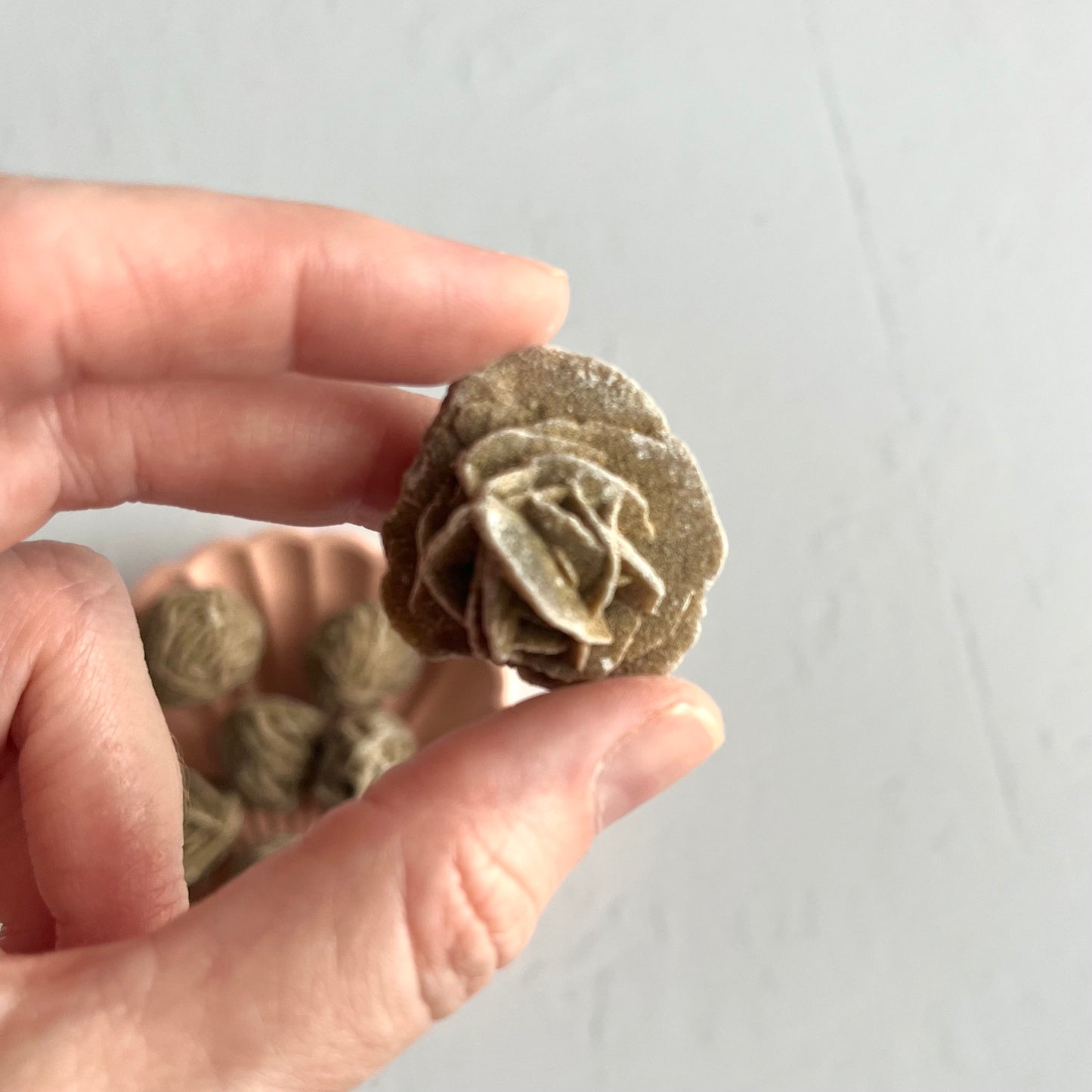 Desert Rose Selenite
