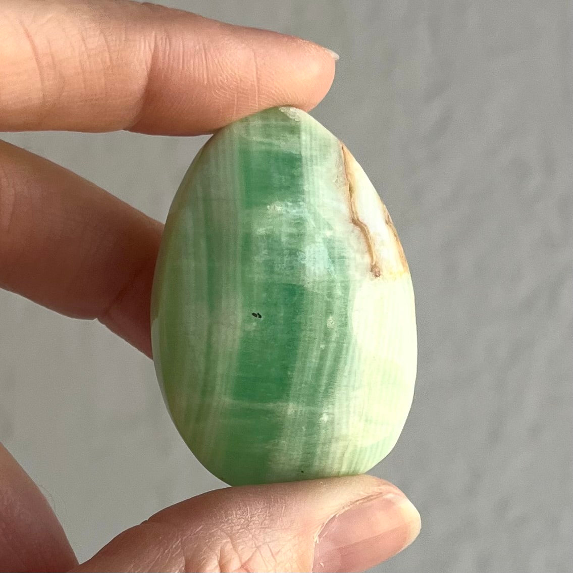 Caribbean Calcite Palm Stone #2 / 28g