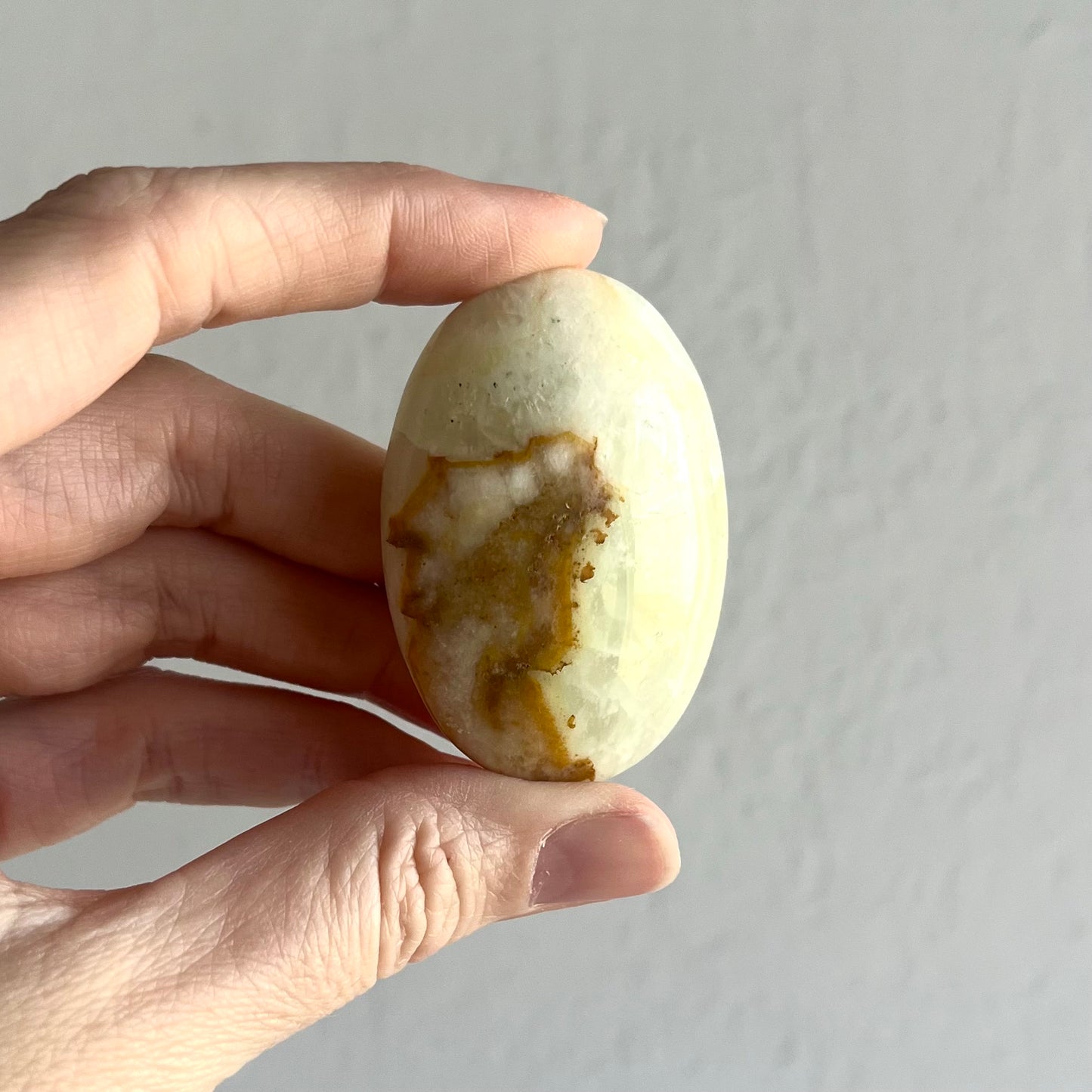Caribbean Calcite Palm Stone #7 / 56g