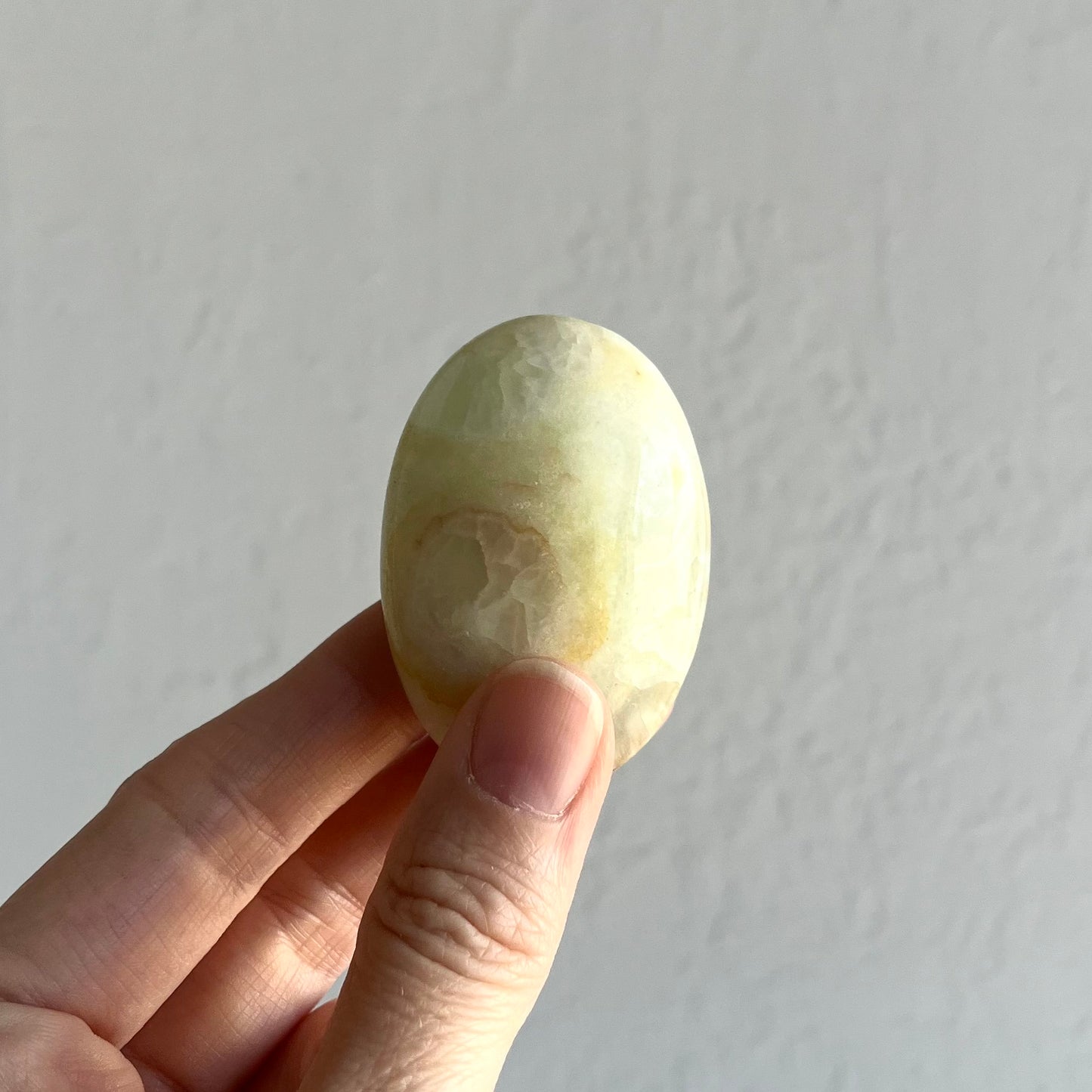 Caribbean Calcite Palm Stone #7 / 56g