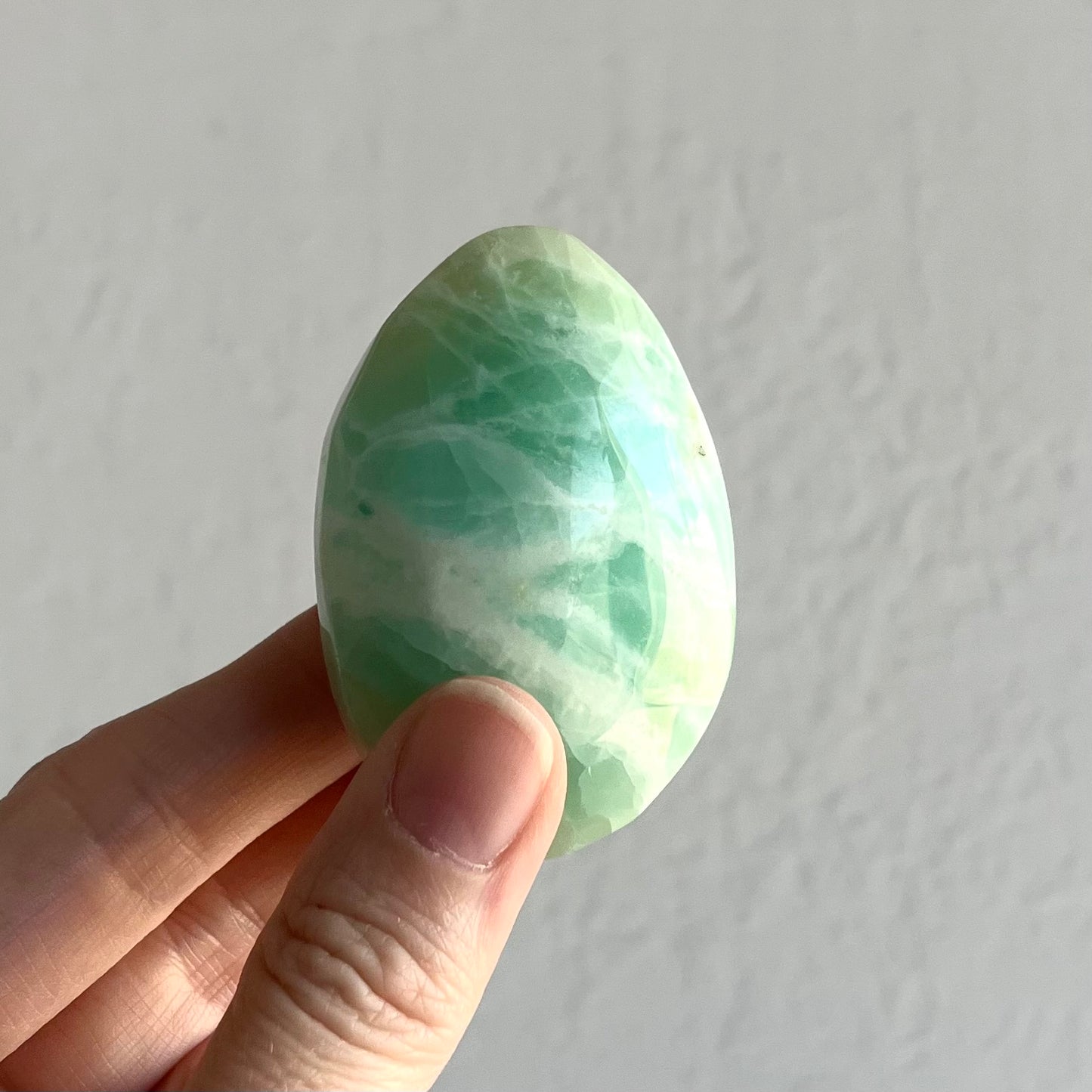 Caribbean Calcite Palm Stone #3