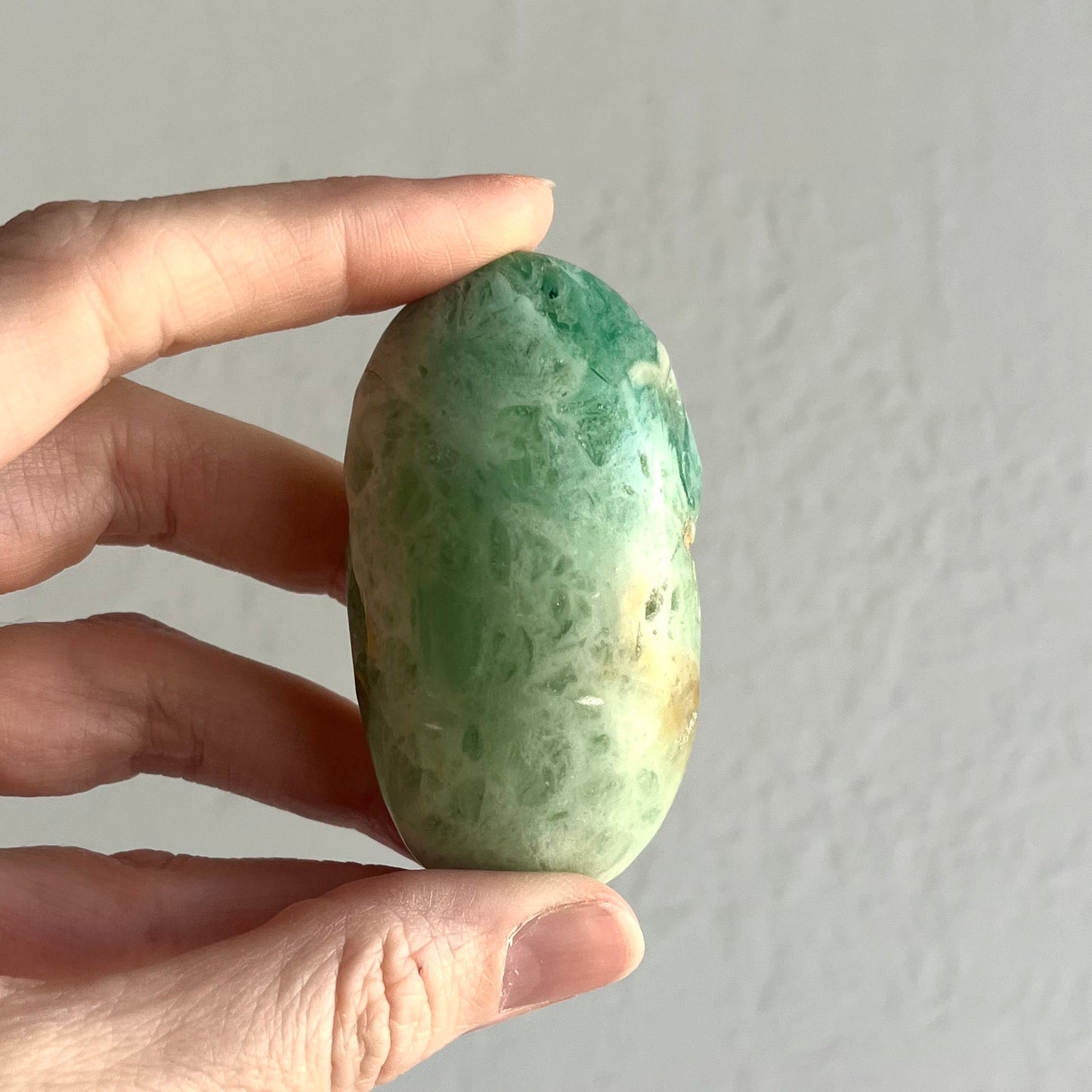 Caribbean Calcite Palm Stone #6 / 95g