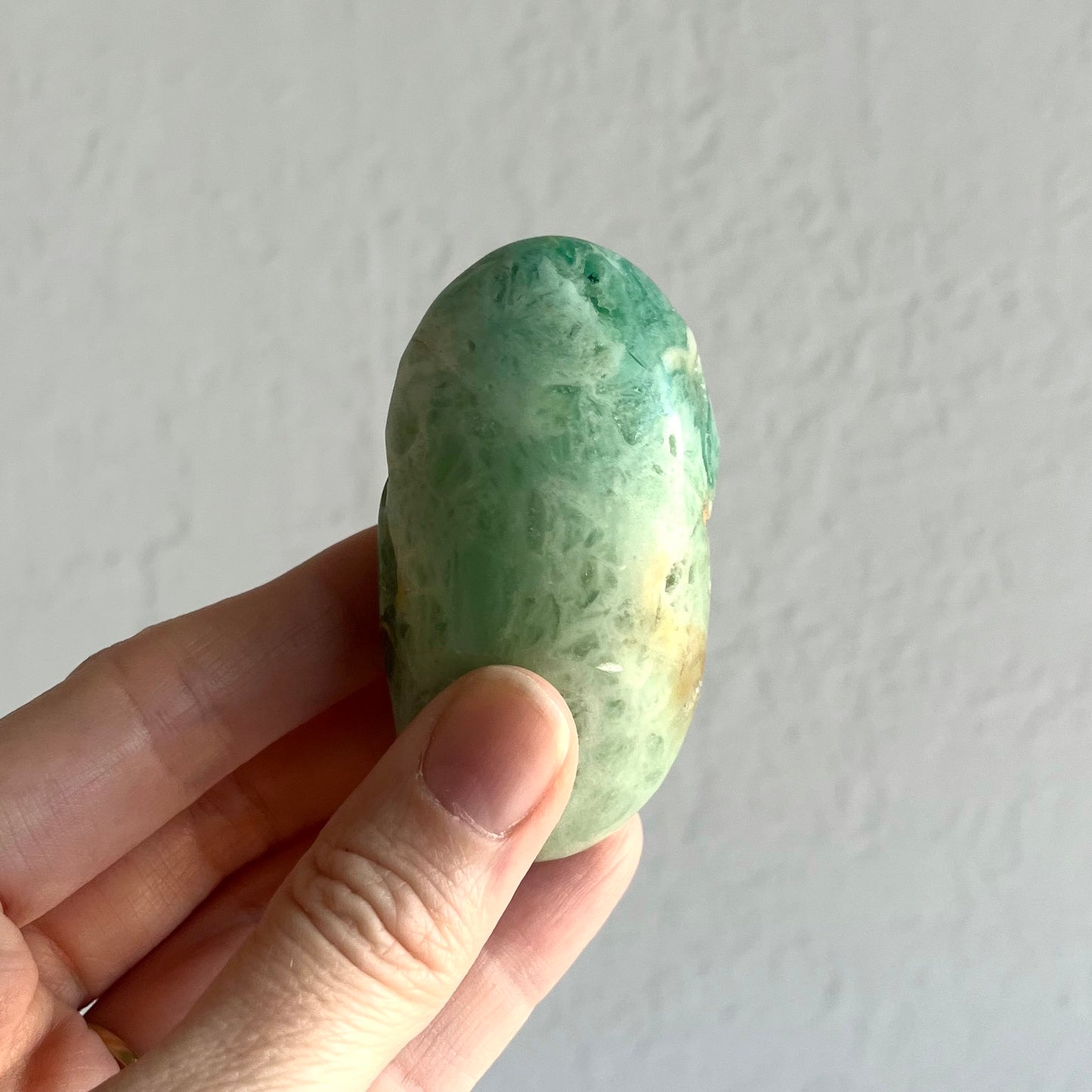 Caribbean Calcite Palm Stone #6 / 95g