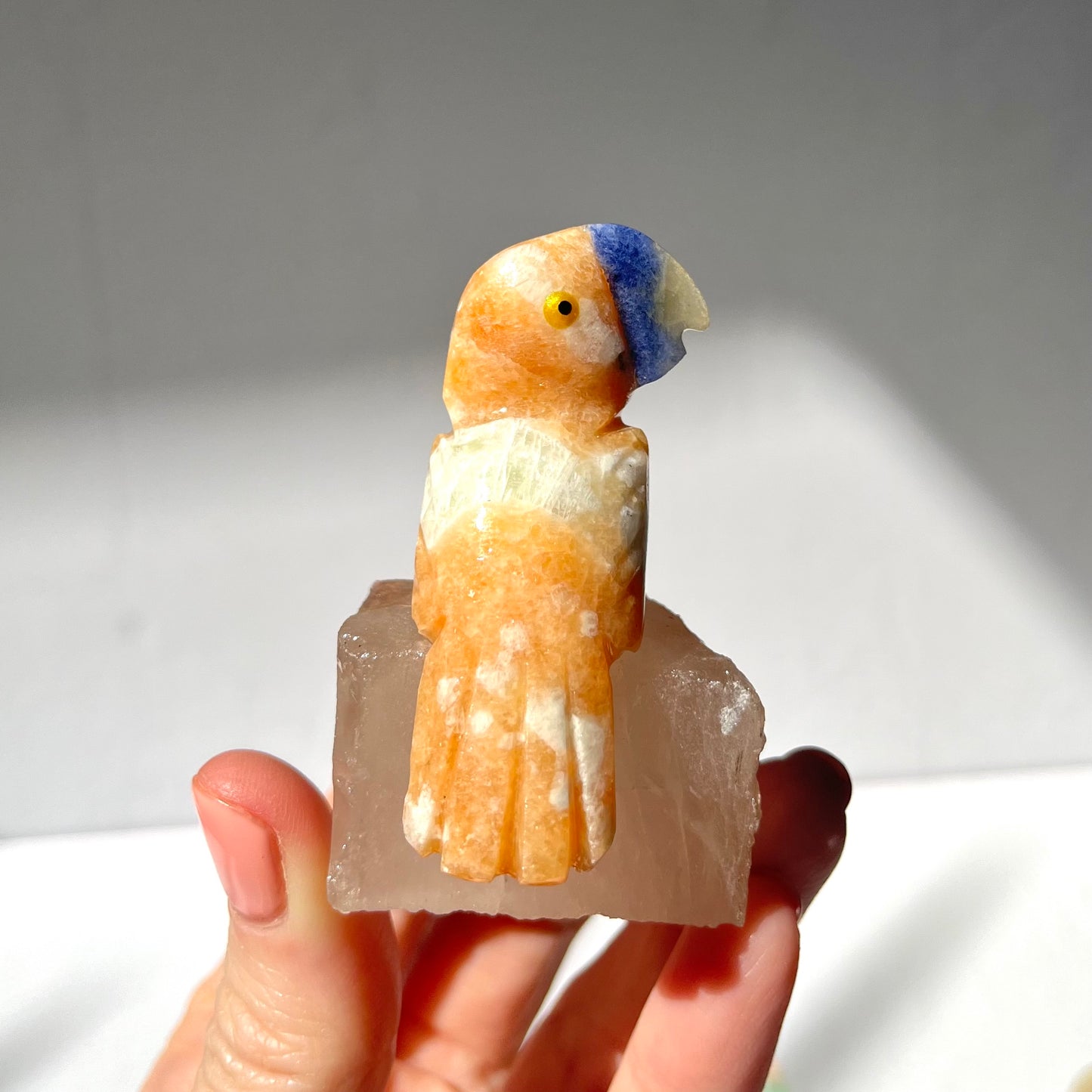 Crystal Parrot Carving / #8
