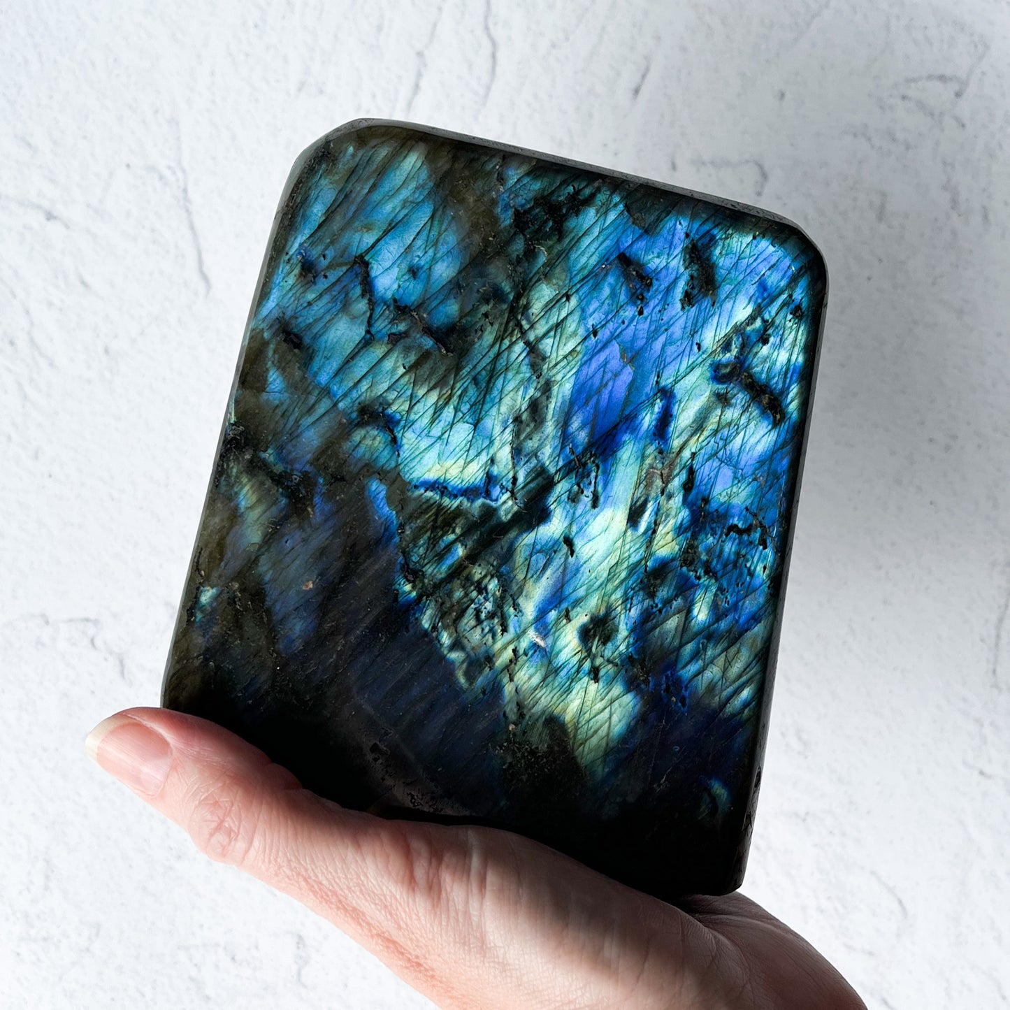 Labradorite Freeform / 1.841kg