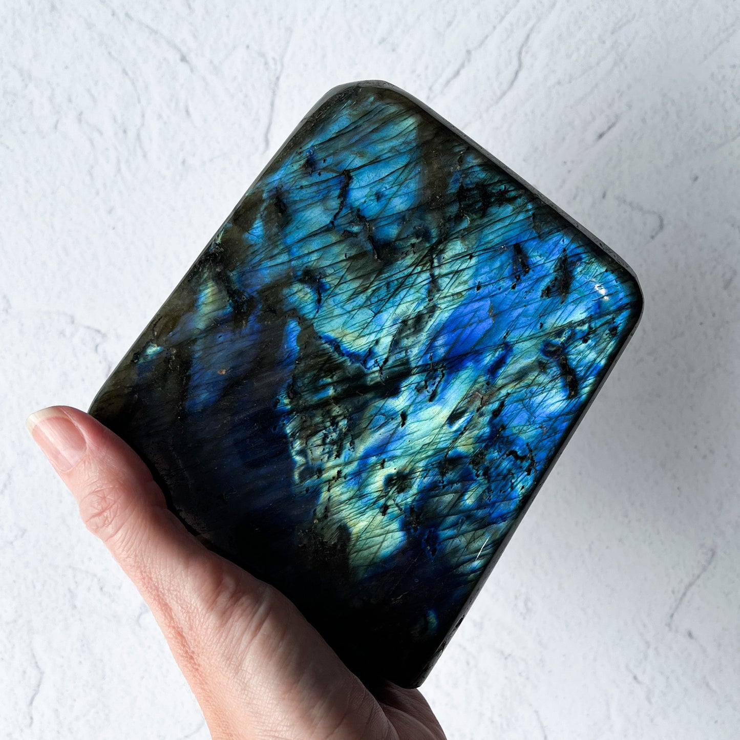 Labradorite Freeform / 1.841kg