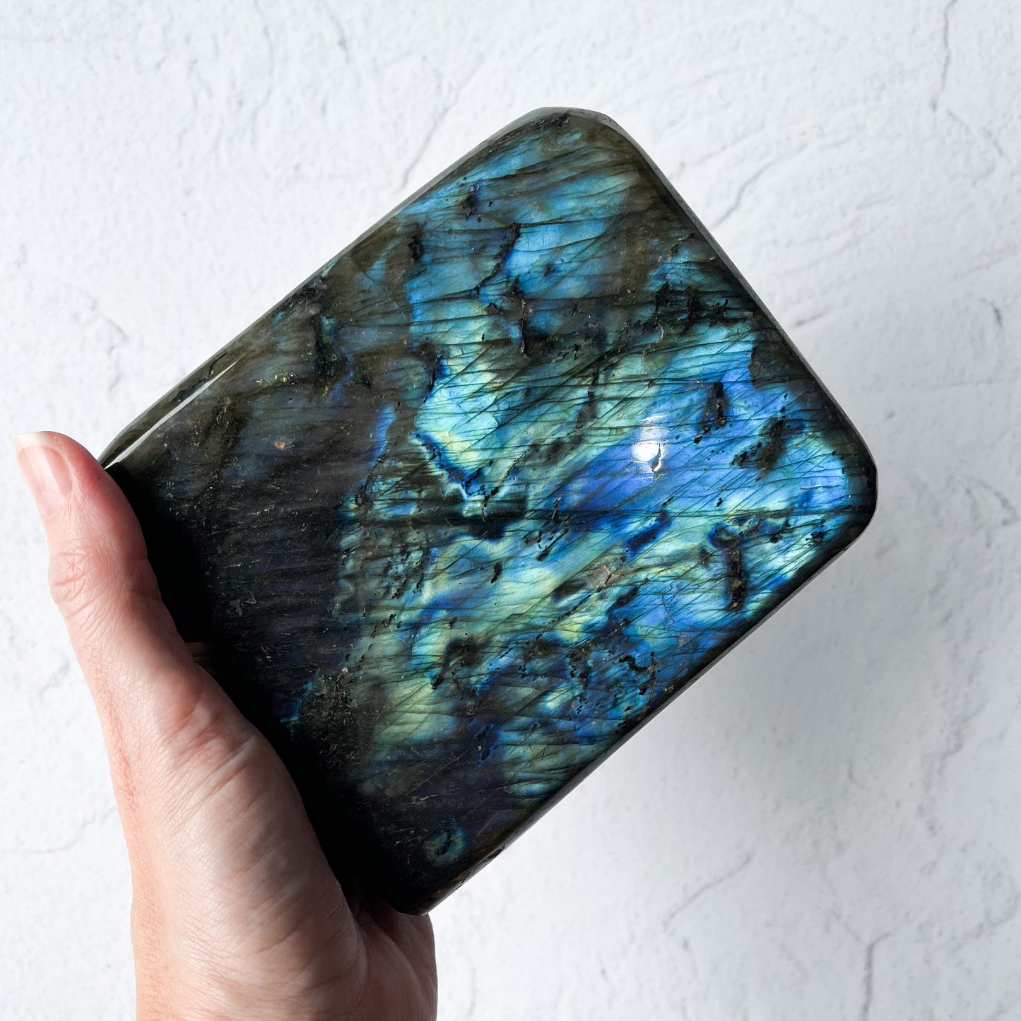Labradorite Freeform / 1.841kg