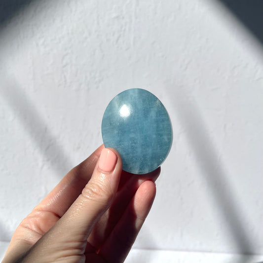 Aquamarine Palm Stone #1 / 63g