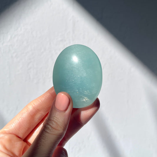 Aquamarine Palm Stone #2 / 62g