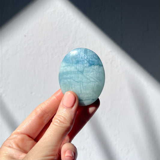 Aquamarine Palm Stone #4 / 56g