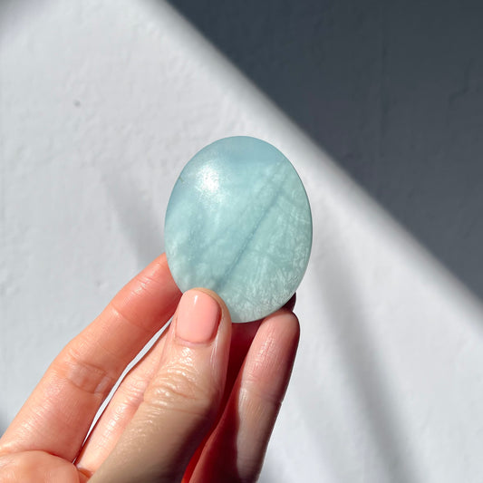 Aquamarine Palm Stone #5 / 52g
