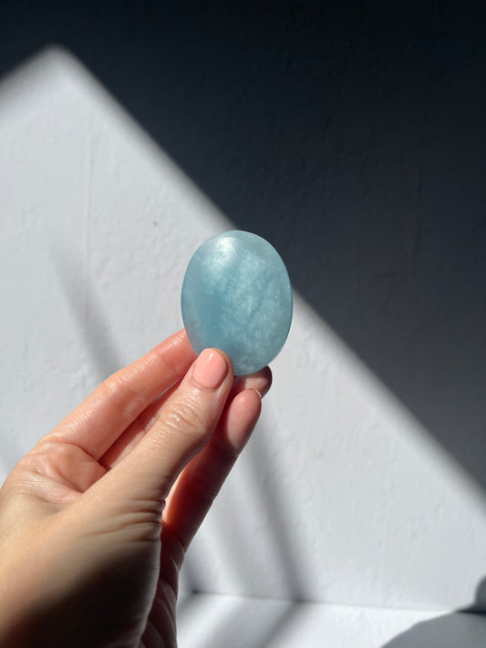 Aquamarine Palm Stone #6 / 42g