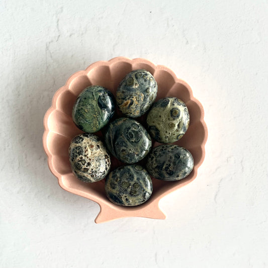 Kambaba Jasper Tumble