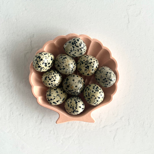 Dalmatian Jasper Tumbles