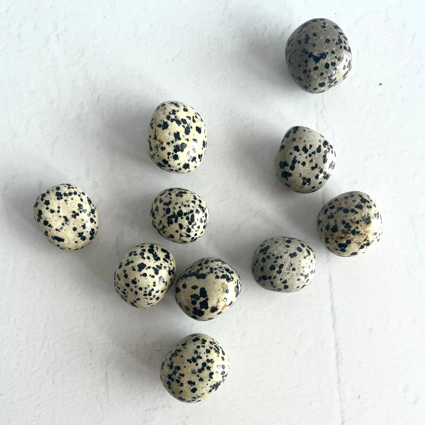 Dalmatian Jasper Tumbles