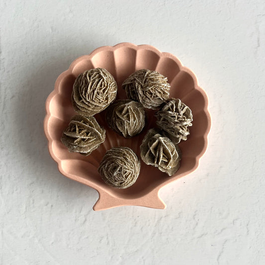 Desert Rose Selenite