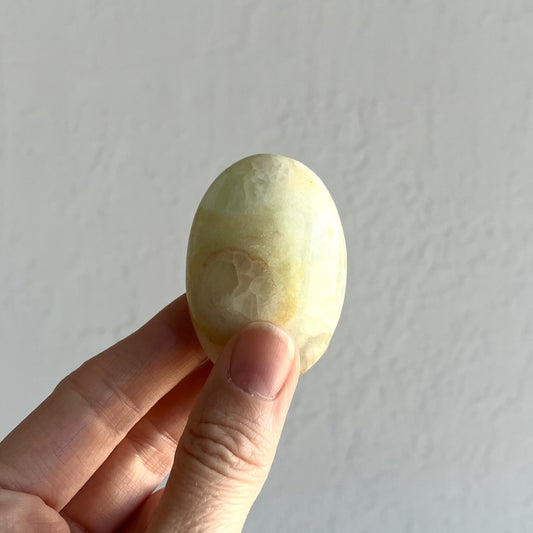 Caribbean Calcite Palm Stone #7 / 56g