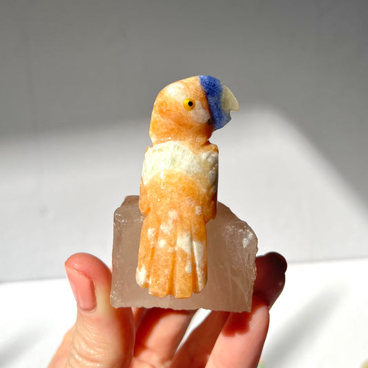 Crystal Parrot Carving / #8