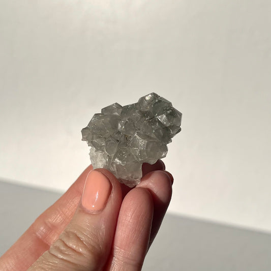 Apophyllite Baby #5 / 26g
