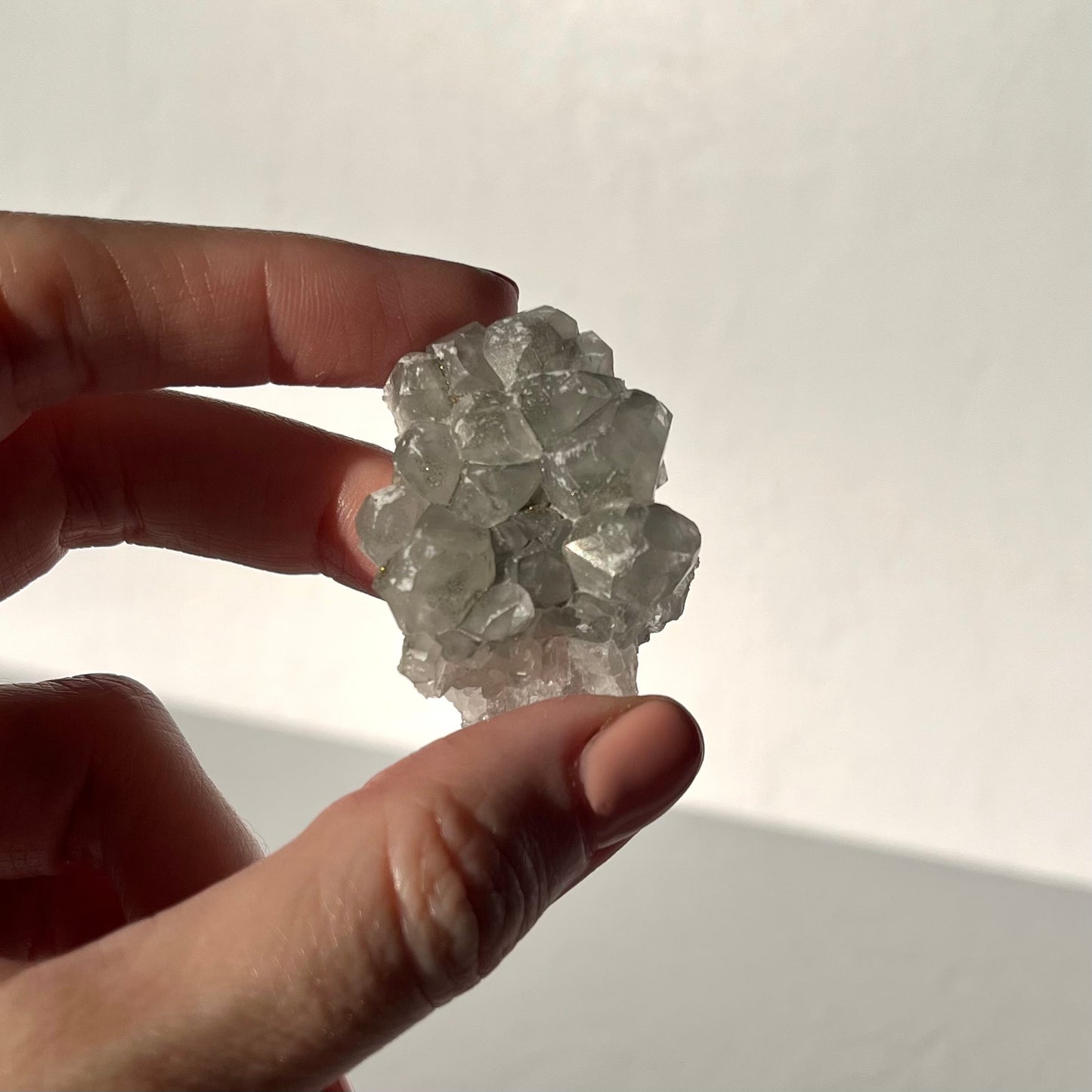 Apophyllite Baby #5 / 26g