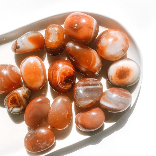 Carnelian Tumbles (large)