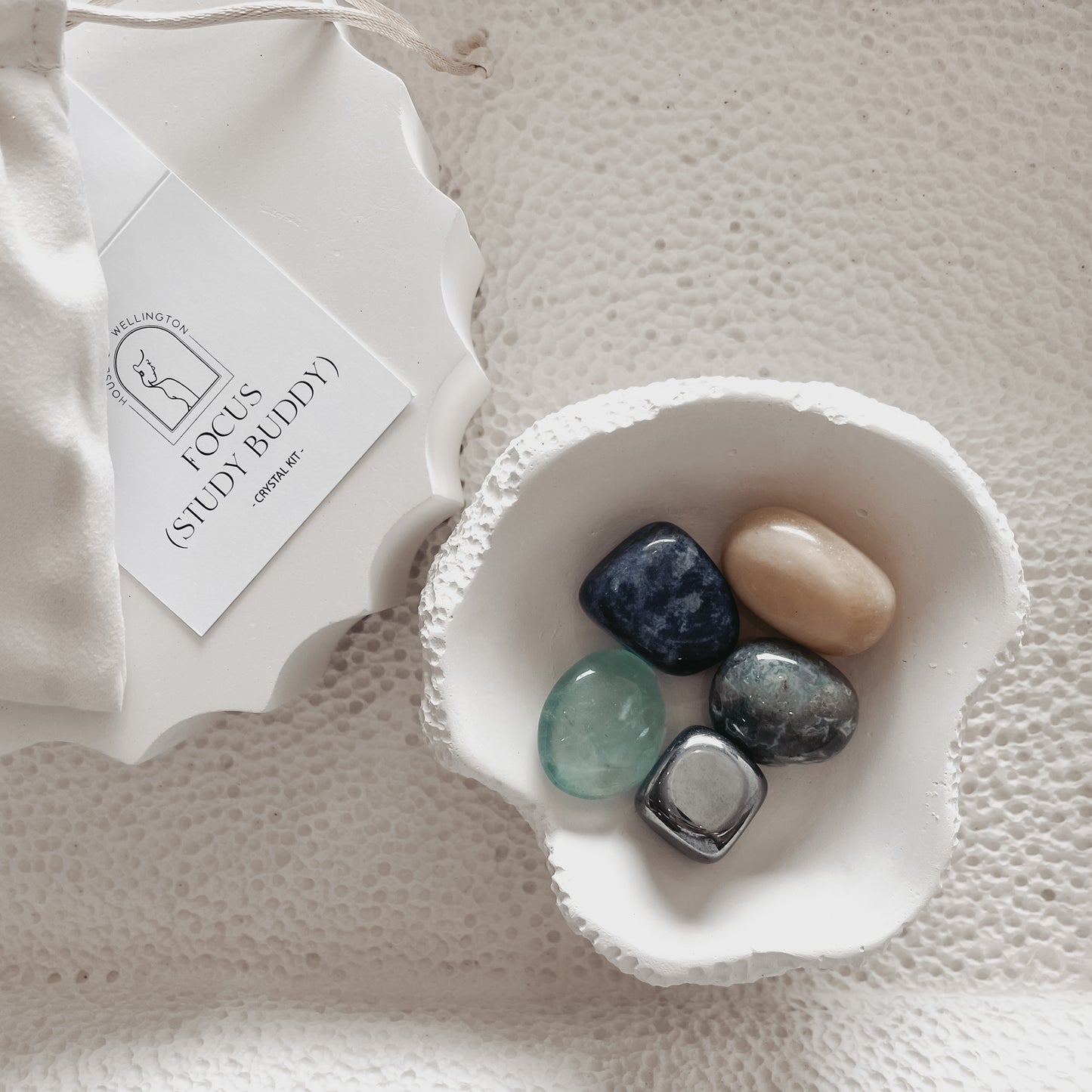 Focus  (Study Buddy) Crystal Kit
